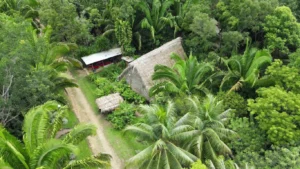Aerial View of Sun Creek Lodge in Belize
