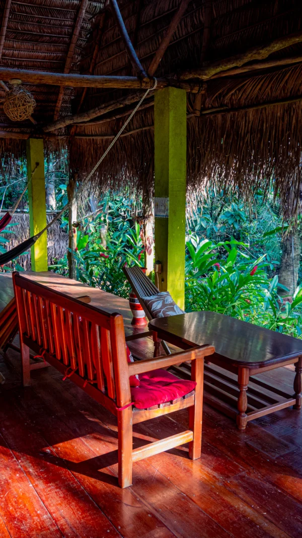 Common Area at Sun Creek Lodge Relax and Birdwatching