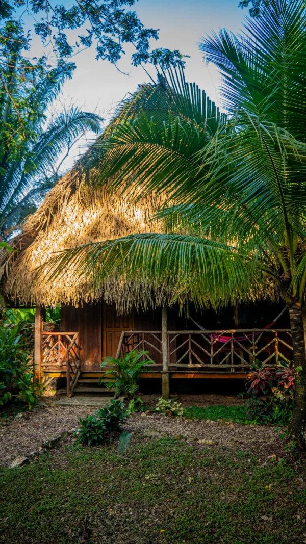 Parrot Cottage Accommodation in Belize Toledo