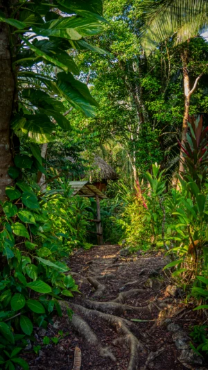 Sun Creek Lodge in Toledo Belize