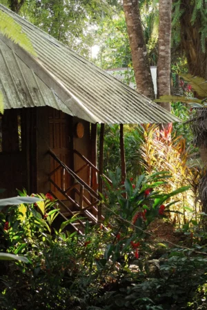 Sunshine Cabana in early Morning Light