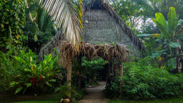 Sustainable Tourism in Belize - Sun Creek Lodge