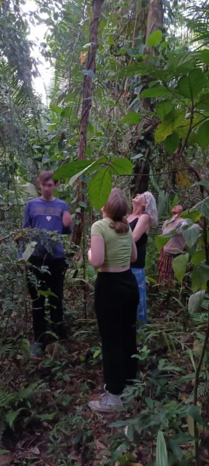 jungle tour in Toledo Belize with Sun Creek Lodge