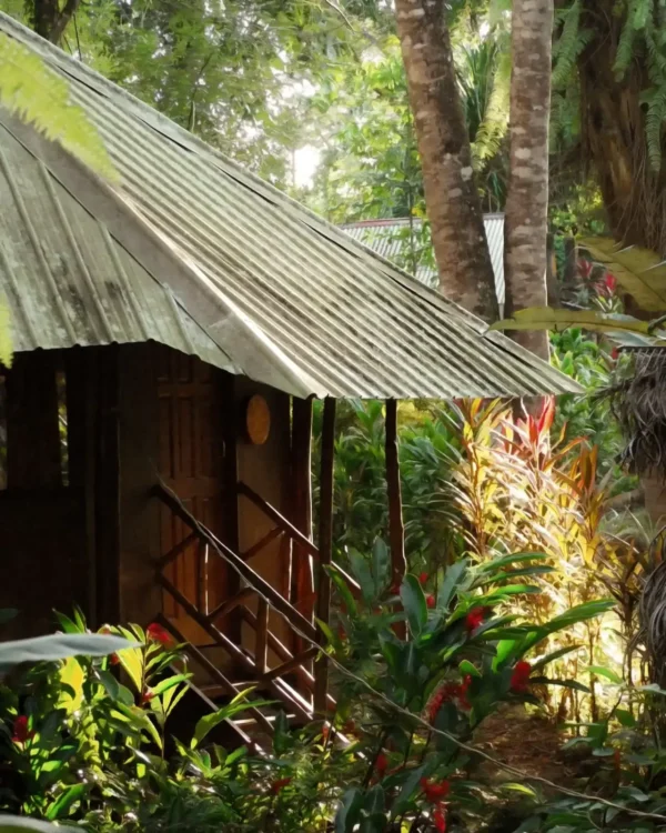 sunshine cabana