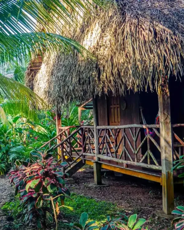 parrot cottage